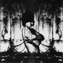 Beyond Dawn : Pity Love